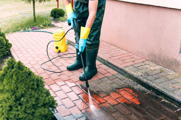 Best Sidewalk and Walkway Cleaning  in Saltillo, MS