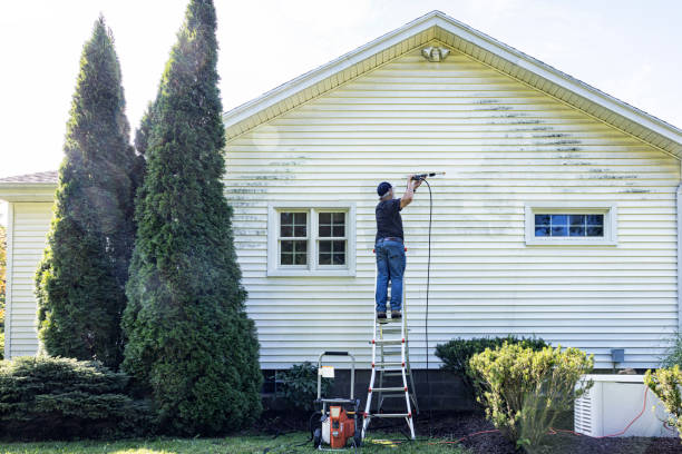 Best Driveway Pressure Washing  in Saltillo, MS